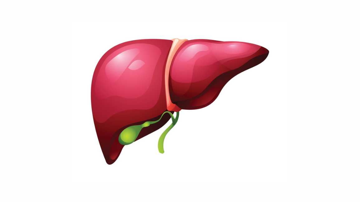 Can Trulicity Cause Elevated Liver Enzymes