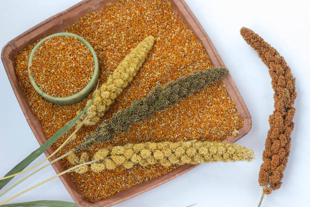 What are the Health Benefits of Kodo Millets?