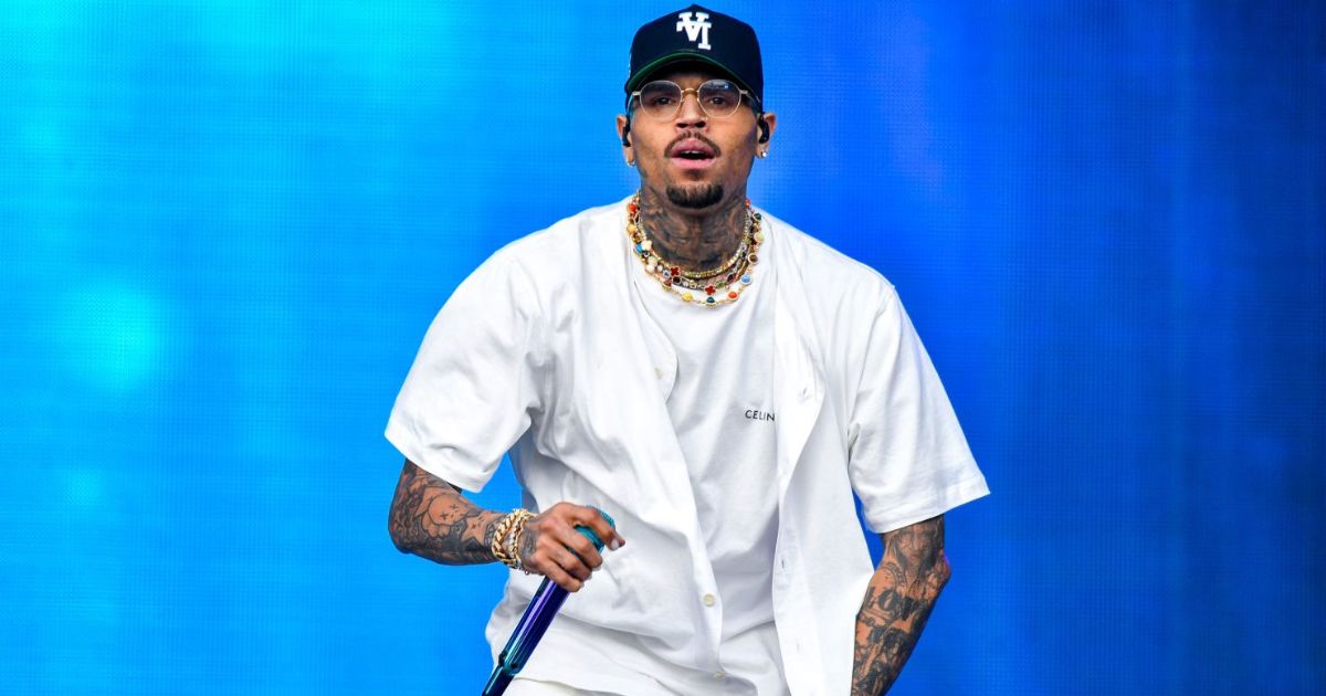 Chris Brown Net Worth: Music Streaming, Concert Tours, And Art Collection