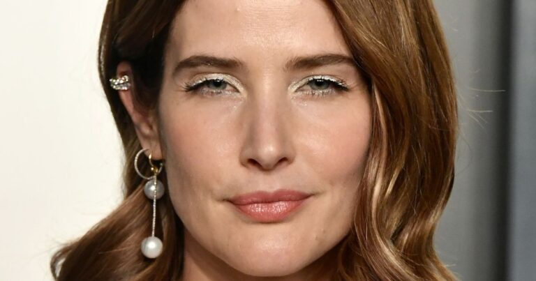 cobie smulders net worth