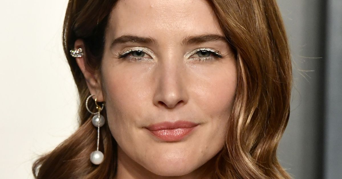 cobie smulders net worth