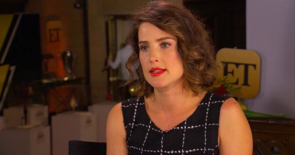 Cobie Smulders Personal Life