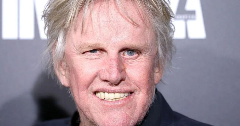 Gary Busey Net Worth